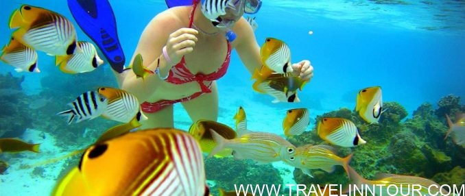 Aroa Marine Reserve