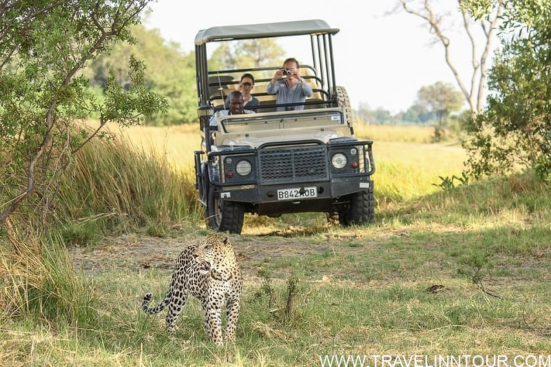 african safari leopard-safari vacation in Africa
