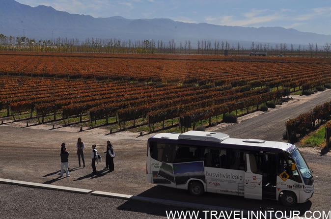 Wine Tourism - Mendoza, Rivers of Wine in Argentina Wine Tourism mendoza hop on hop off wine tour in mendoza - Wine Tourism - Mendoza, Rivers of Wine in Argentina