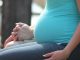 flying while pregnant tips