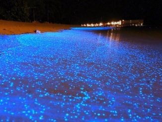 sea of stars maldives 1