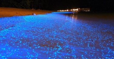 sea of stars maldives 1