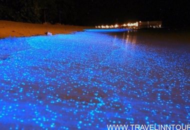 sea of stars maldives 1
