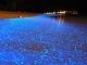 sea of stars maldives 1