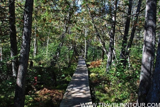 North Country Trail
