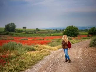 Best Places to Visit in Green Spain