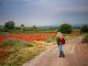 Best Places to Visit in Green Spain