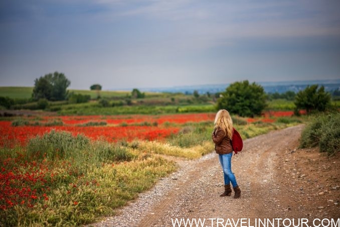Best Places to Visit in Green Spain