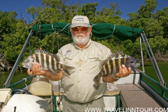 best fishing destinations in Canada