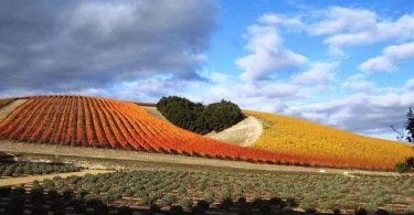 Paso Robles -Heart Hill