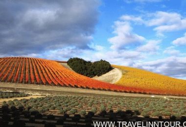 Paso Robles -Heart Hill