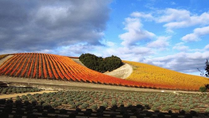 Paso Robles -Heart Hill