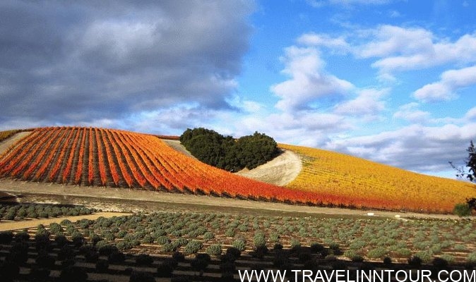 Paso Robles -Heart Hill