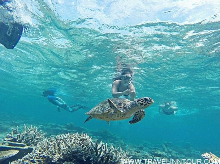 Discover Maafushi Island Activities For Unforgettable Maldives Trip Discover Maafushi Island Activities For Unforgettable Maldives Trip