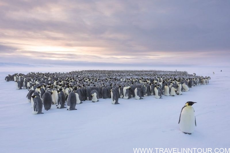 Winter with penguins in Antarctica 7