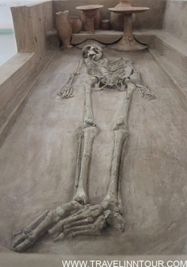 A skeleton from Rakhigarhi on display in the National Museum A skeleton from Rakhigarhi on display in the National Museum