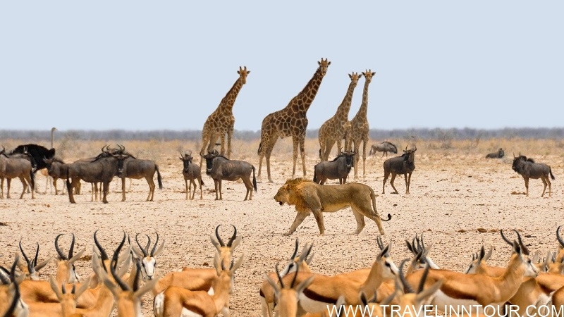 Best places to visit in Namibia