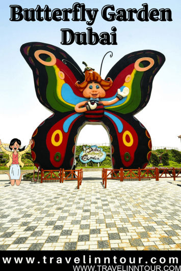 Butterfly Garden Dubai Colorful Butterflies From Around The World
