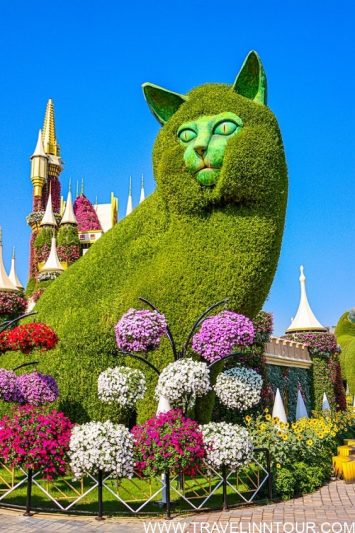 Miracle Garden Dubai