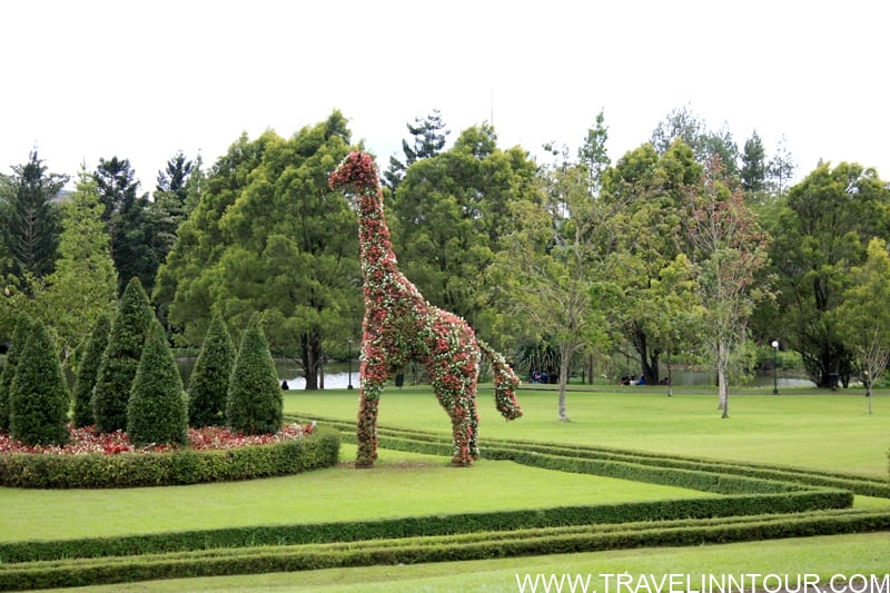 Nusantara Flower Garden