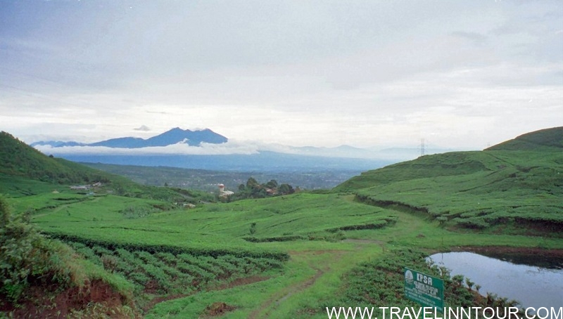 Puncak Pass