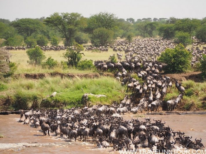 Serengeti National Park