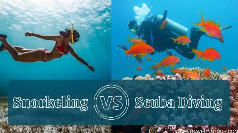 Snorkeling VS Scuba Diving What is the difference
