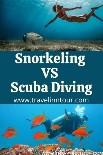 The Difference Between Snorkeling And Scuba Diving