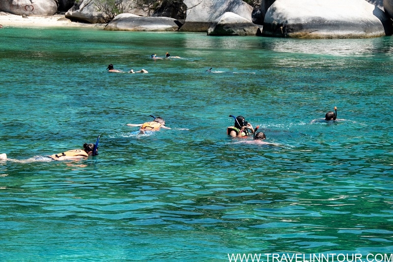 The Purpose Behind Snorkeling And Scuba Diving