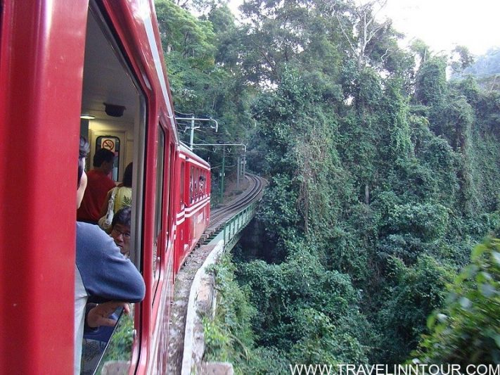 Tijuca Forest Through the forest to Christ the Redeemer