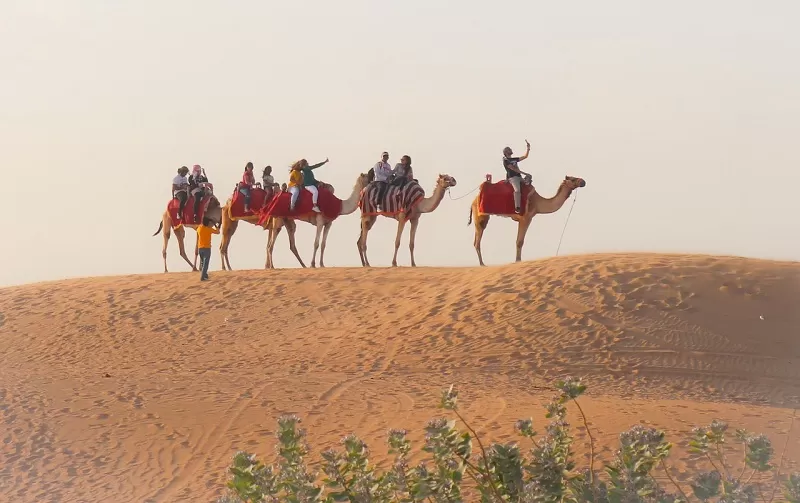 2 Day Dubai Itinerary desert safari dubai, clothing optional hotels puerto vallarta, nude beaches in costa rica, clothing optional resorts in jamaica, best sarasota beaches, dragon river portugal