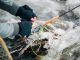 Best Winter Fishing Destinations in the US 2 1