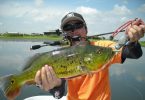 Ultimate Guide to Bass Fishing 1