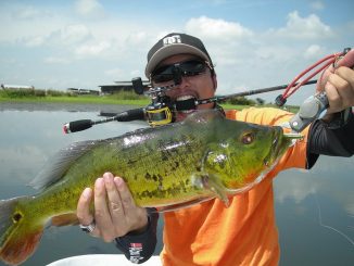 Ultimate Guide to Bass Fishing 1