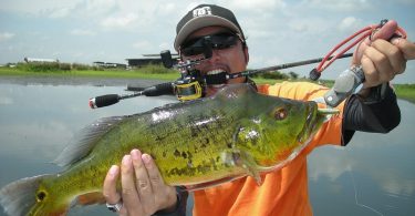 Ultimate Guide to Bass Fishing 1
