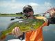 Ultimate Guide to Bass Fishing 1