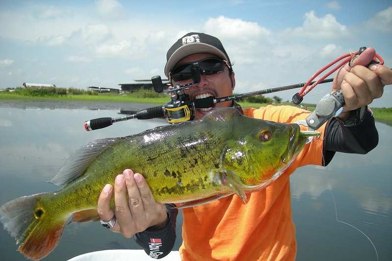 Ultimate Guide to Bass Fishing 1