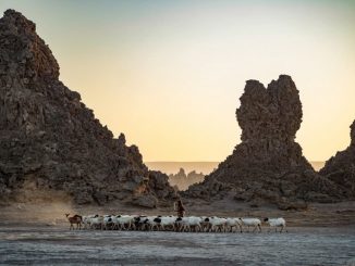 Lac Abbe, Landmarks in Djibouti