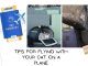 Tips for Flying with Your Cat on a Plane