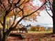 15 Great Fall Destinations