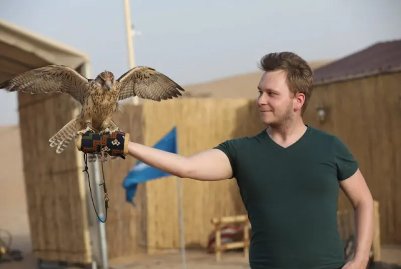 Falcon Photography