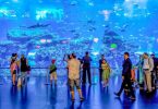 The Marvels of Dubai Aquarium