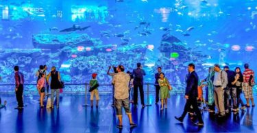 The Marvels of Dubai Aquarium