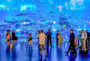 The Marvels of Dubai Aquarium