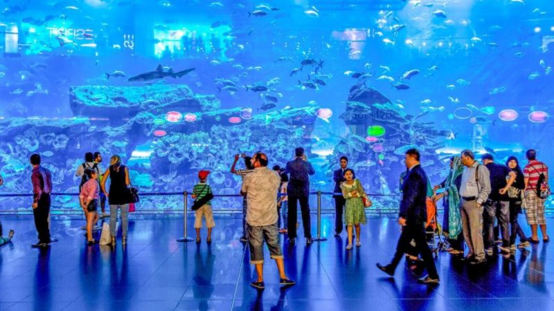 The Marvels of Dubai Aquarium