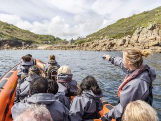 145 Boat Trip in North Cornwall