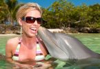 Swimming with Dolphins in Jamaica