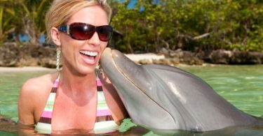 Swimming with Dolphins in Jamaica