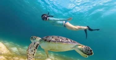 9 9 9 Best Snorkeling in Tulum Guide