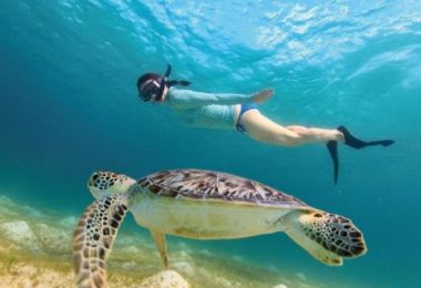 9 9 9 Best Snorkeling in Tulum Guide